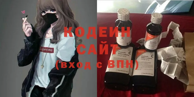 Кодеин Purple Drank  закладки  Будённовск 